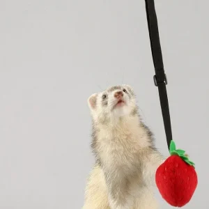 Marshall Pet Products Ferret Bungee Toy Platypus Pink