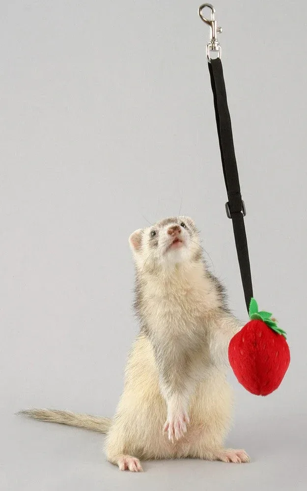 Marshall Pet Products Ferret Bungee Toy Platypus Pink