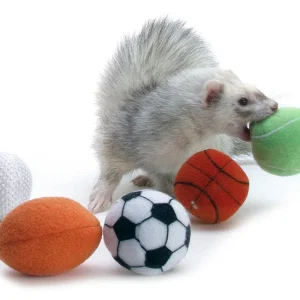 Marshall Pet Products Ferret Sport Balls Assorted, 2 in, 2-Count