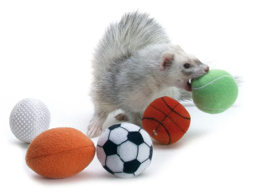 Marshall Pet Products Ferret Sport Balls Assorted, 2 in, 2-Count