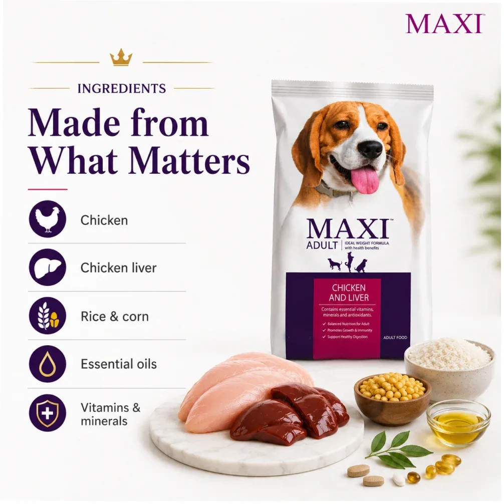 Maxi Adult Chicken and Liver Dog Dry Food - Image 2