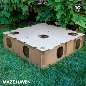 MAZE HAVEN - 10 PACK