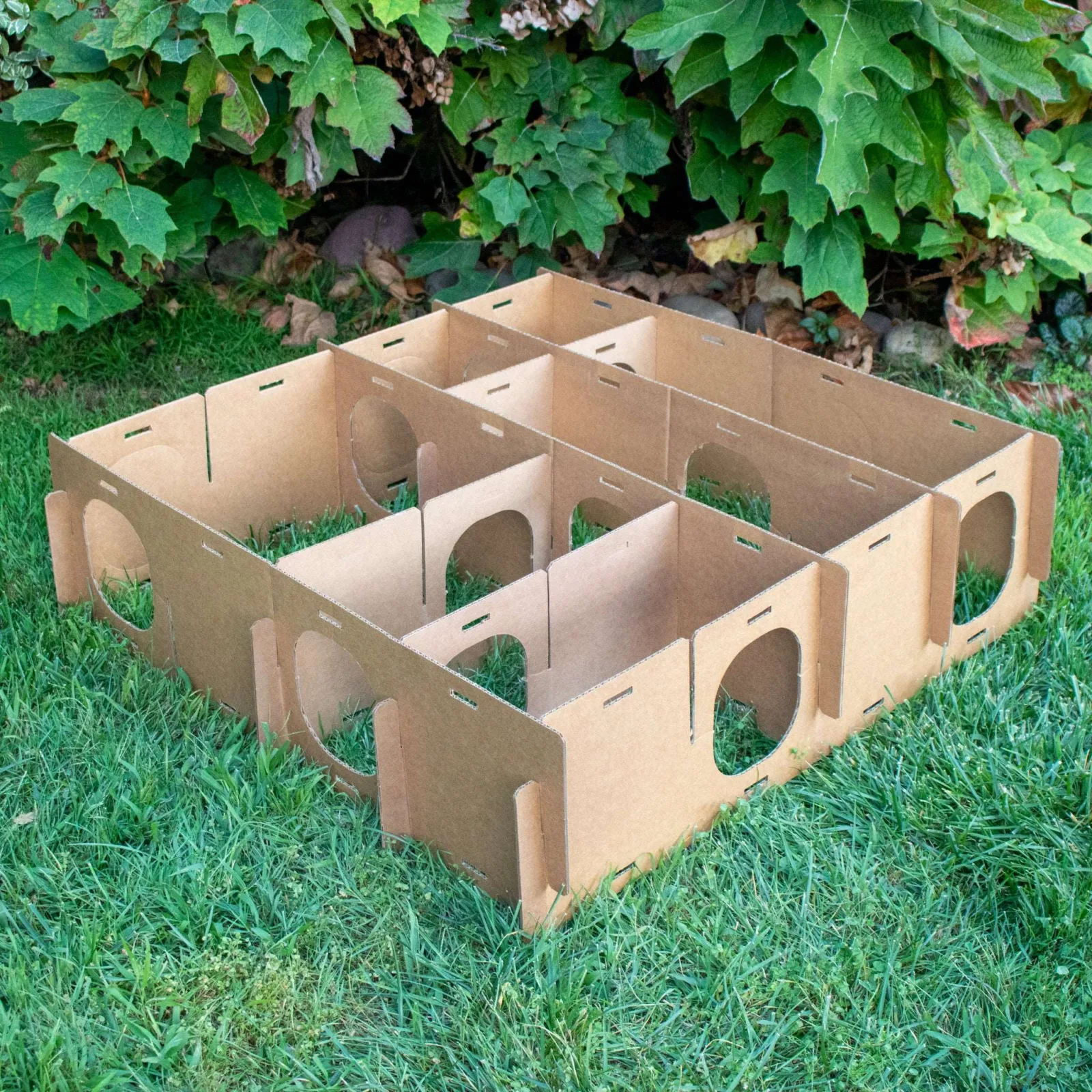 MAZE HAVEN - 5 PACK - Image 2