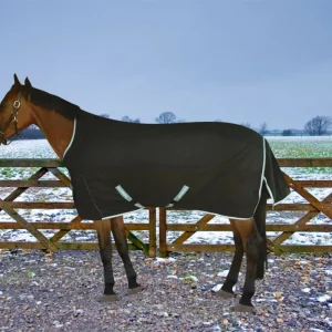 Medium Weight Turnout Blanket - 220 g Waterproof Horse Blanket with High Neck