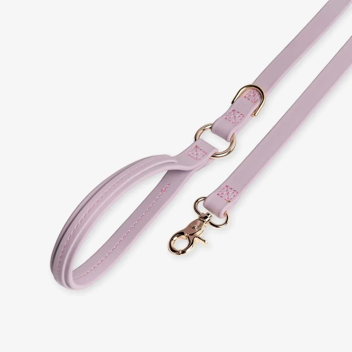 Merci Collective Jump Around Dog Leash