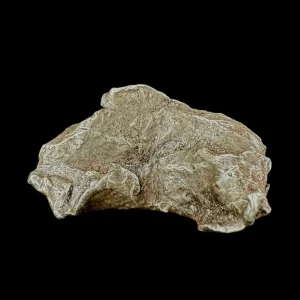 Meteorite - Sikhote-Alin - Octahedrite