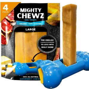 Mighty Chewz - Long-Lasting Yak Cheese Dog Chew with Holder, 4 ct