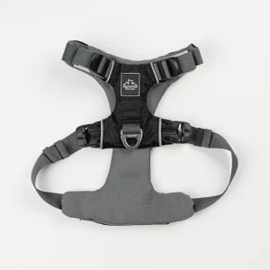 Millvue EZ Fit Water-Resistant Dog Harness for Extra Small Breeds
