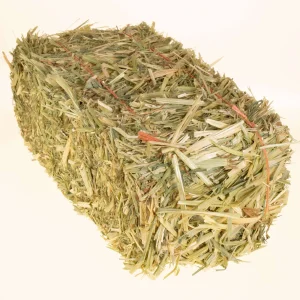Mini Hay Bale - WHEAT