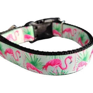 Mint Flamingo Nylon Dog Collar