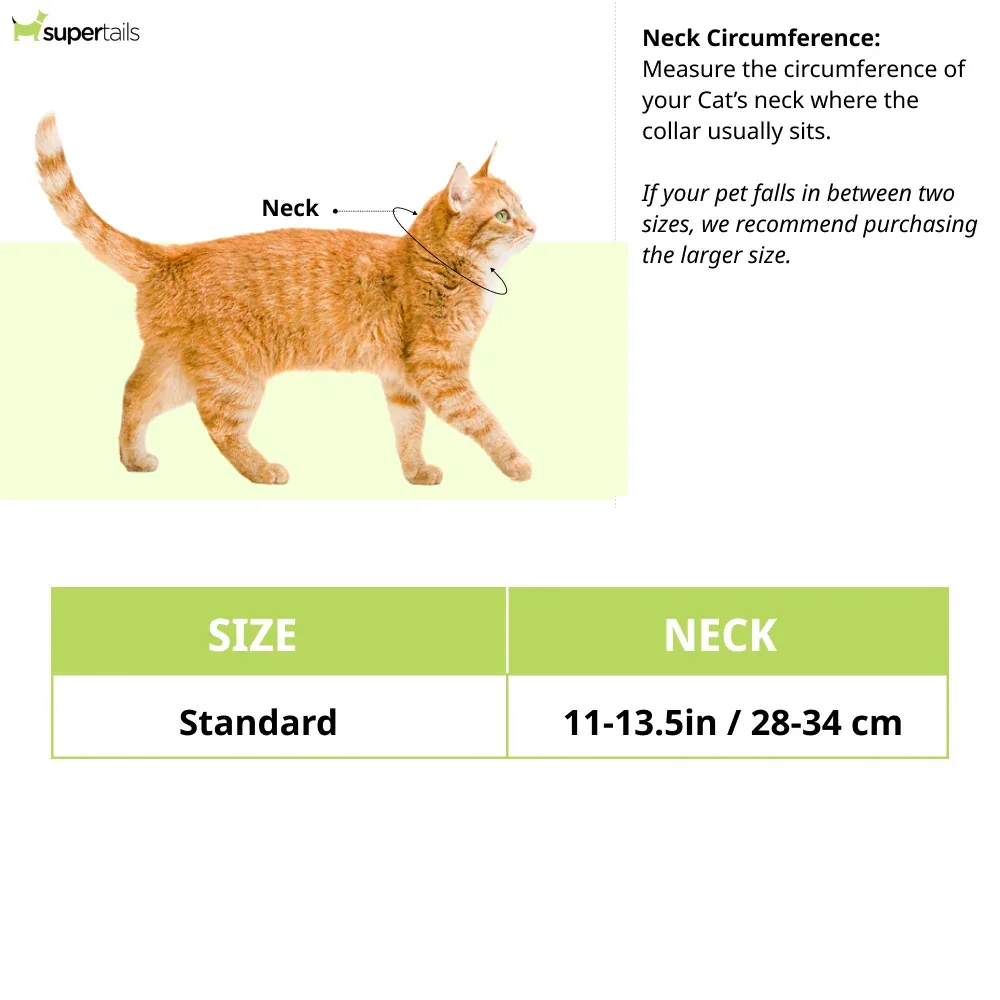 Mitag Anti Loss Device with Collar for Cats (Grey) | IOS - Image 2