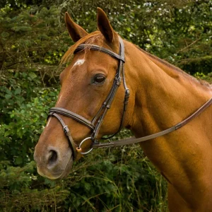 Mono Crown Bridle with Flash - Padded Bridle with Rubber Reins