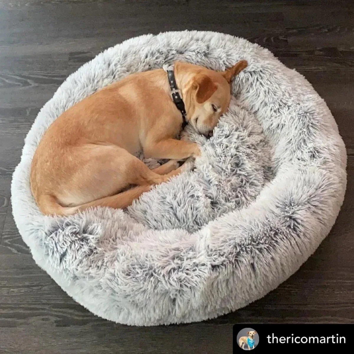 Mr. Peanut's OrthoPlush Pet Bed - Image 2
