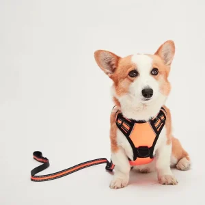 Mr. Peanut's PetTrek Reflective Pet Dog Harness With Matching Dog Leash