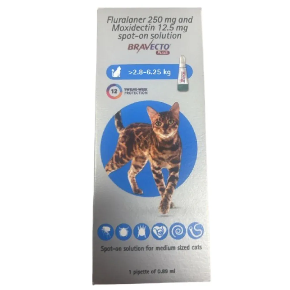 MSD Animal Health Bravecto 250mg (Fluralaner) Spot On Solution for Medium Sized Cats