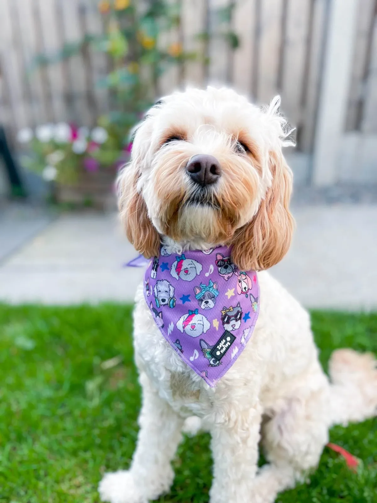 Muttallica Bandana - Image 2