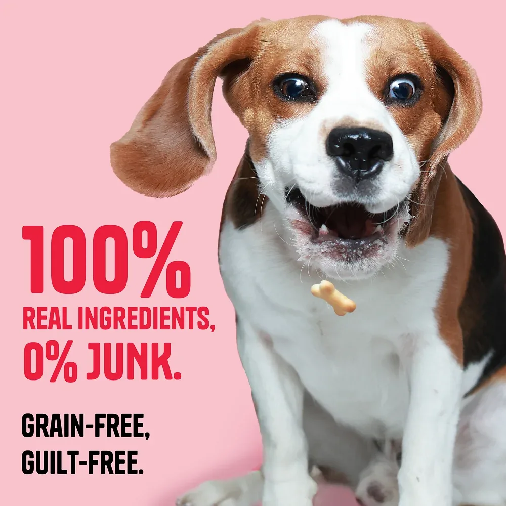 Muttley Crew Chicken and Peanut Butter Biscuits Dog Treats - Image 2