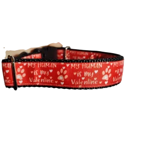 My Human Is My Valentine Nylon Dog Collar