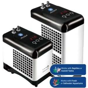 Nano Arctica E-Chiller