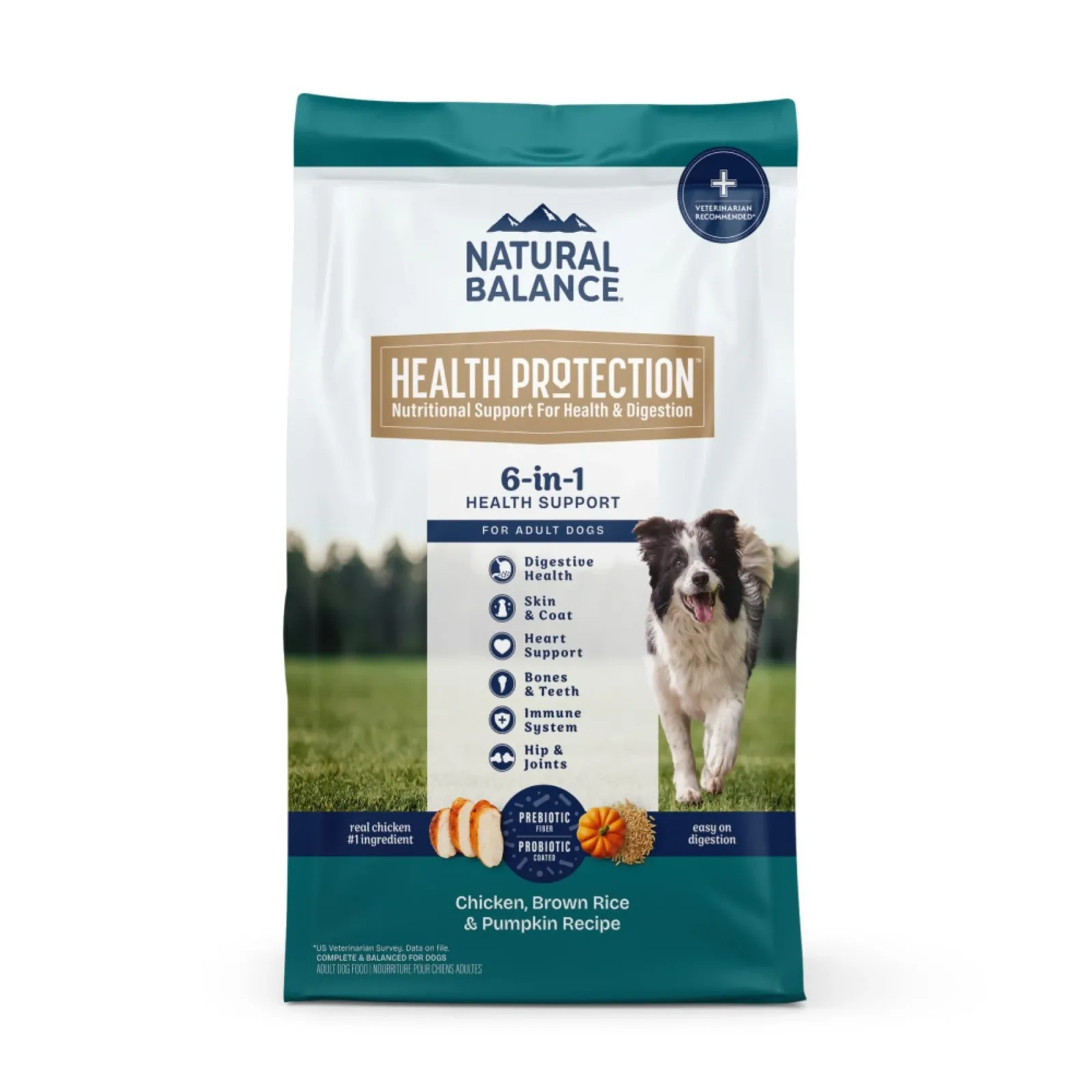Natural Balance Pet Foods Health Protection Dry Dog Food Chicken, Rice & Pumpkin, 4 lb - Image 2