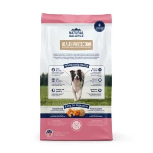 Natural Balance Pet Foods Health Protection Dry Dog Food Salmon, Brown Rice & Pumpkin, 22 lb