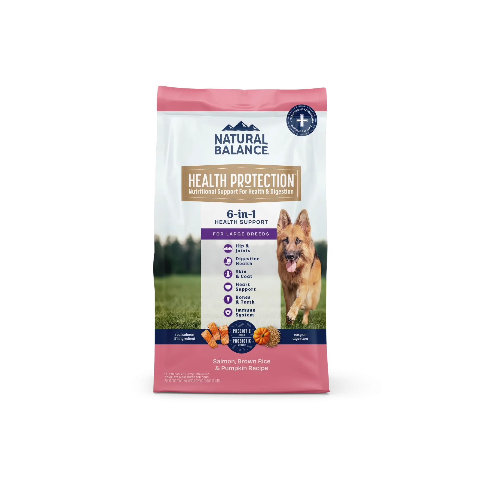 Natural Balance Pet Foods Health Protection Large Breed Dry Dog Food Salmon & Rice 26 lb