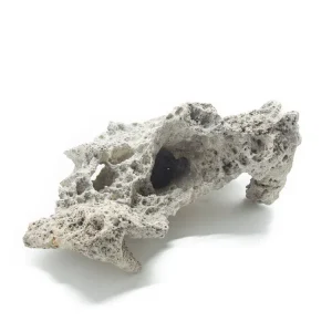NATURAL Lace Rock - Aquarium / Terrarium / Bonsai Stone