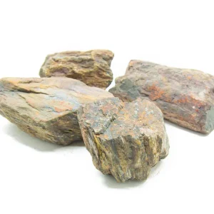 NATURAL Polished Petrified Wood - Aquarium / Terrarium / Bonsai Stone