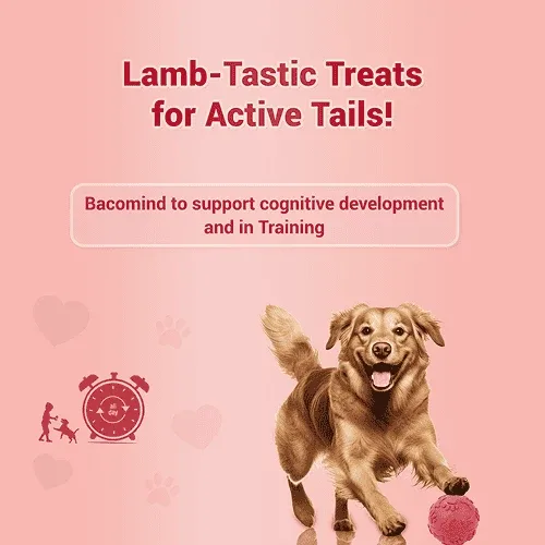 Natural Remedies Treat O'Clock Mutton Treats for Dogs - Image 2