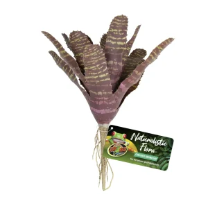 Naturalistic Flora - Chestnut Bromeliad