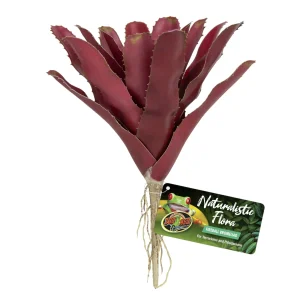 Naturalistic Flora - Fireball Bromeliad