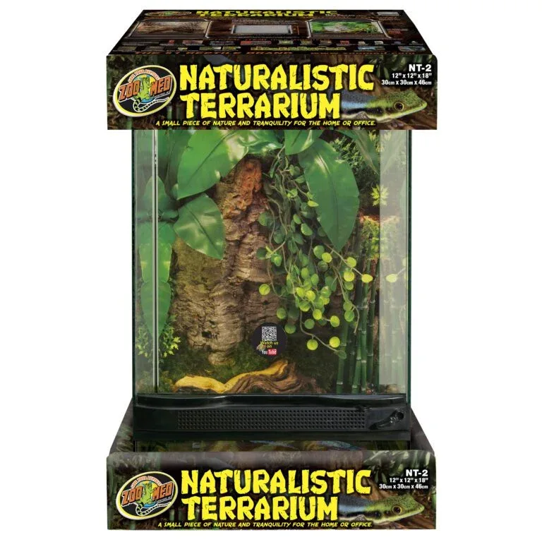 Naturalistic Terrarium - Image 2