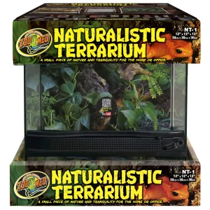 Naturalistic Terrarium