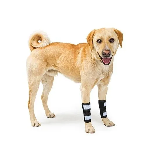 NeoAlly Dog Front Leg Brace with Reflective Straps - Metal Spring Inserts for Carpal Support (Pair) - Image 2