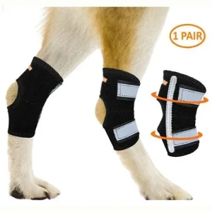 NeoAlly Rear Leg Hock Brace - Metal Spring Strips for Small Dogs [Short Version] (Pair)