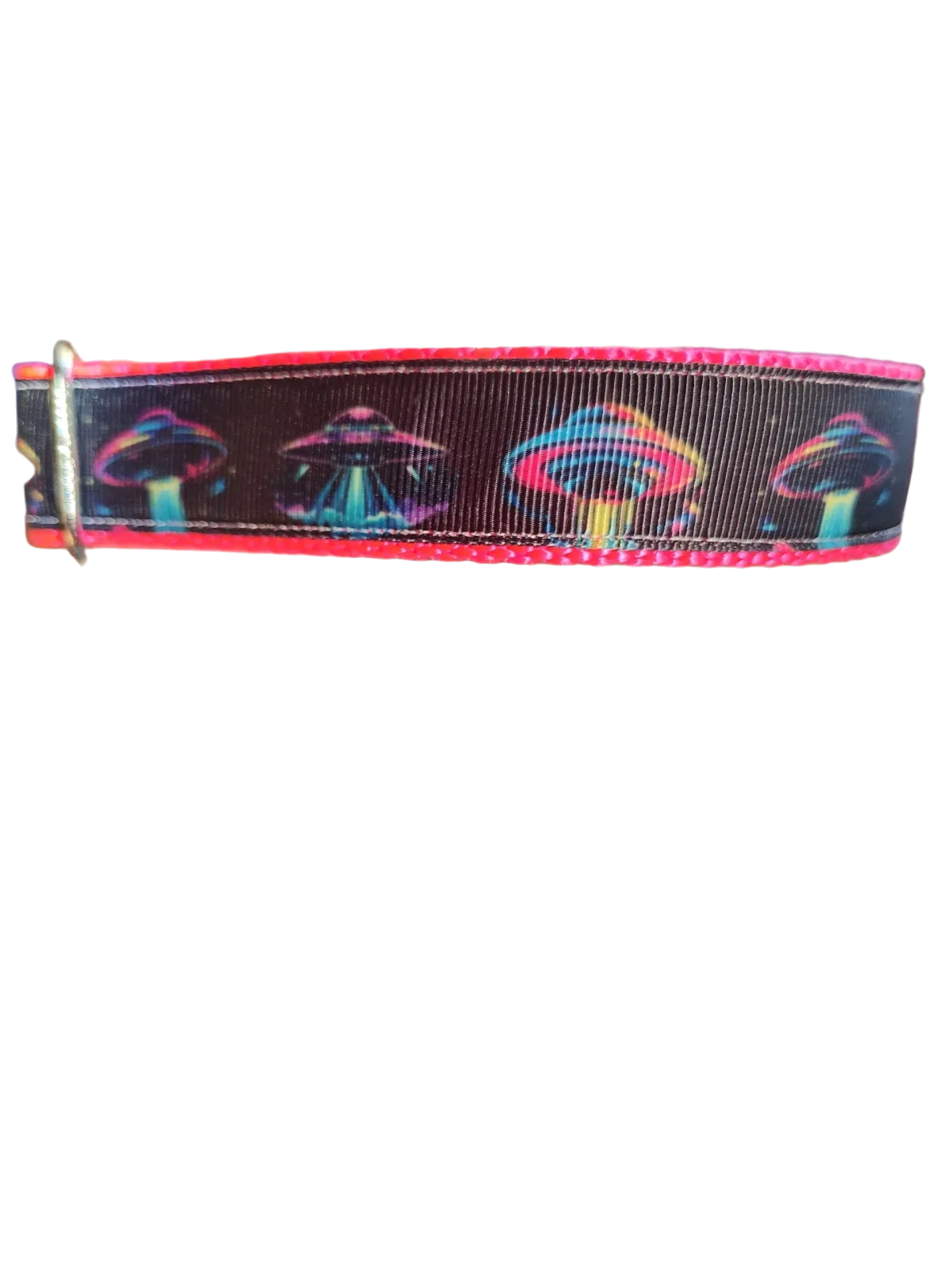 Neon UFO Nylon Dog Collar