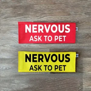 Nervous