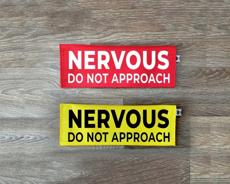 Nervous