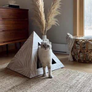 'Neutral Palm' Cardboard Cat Pyramid
