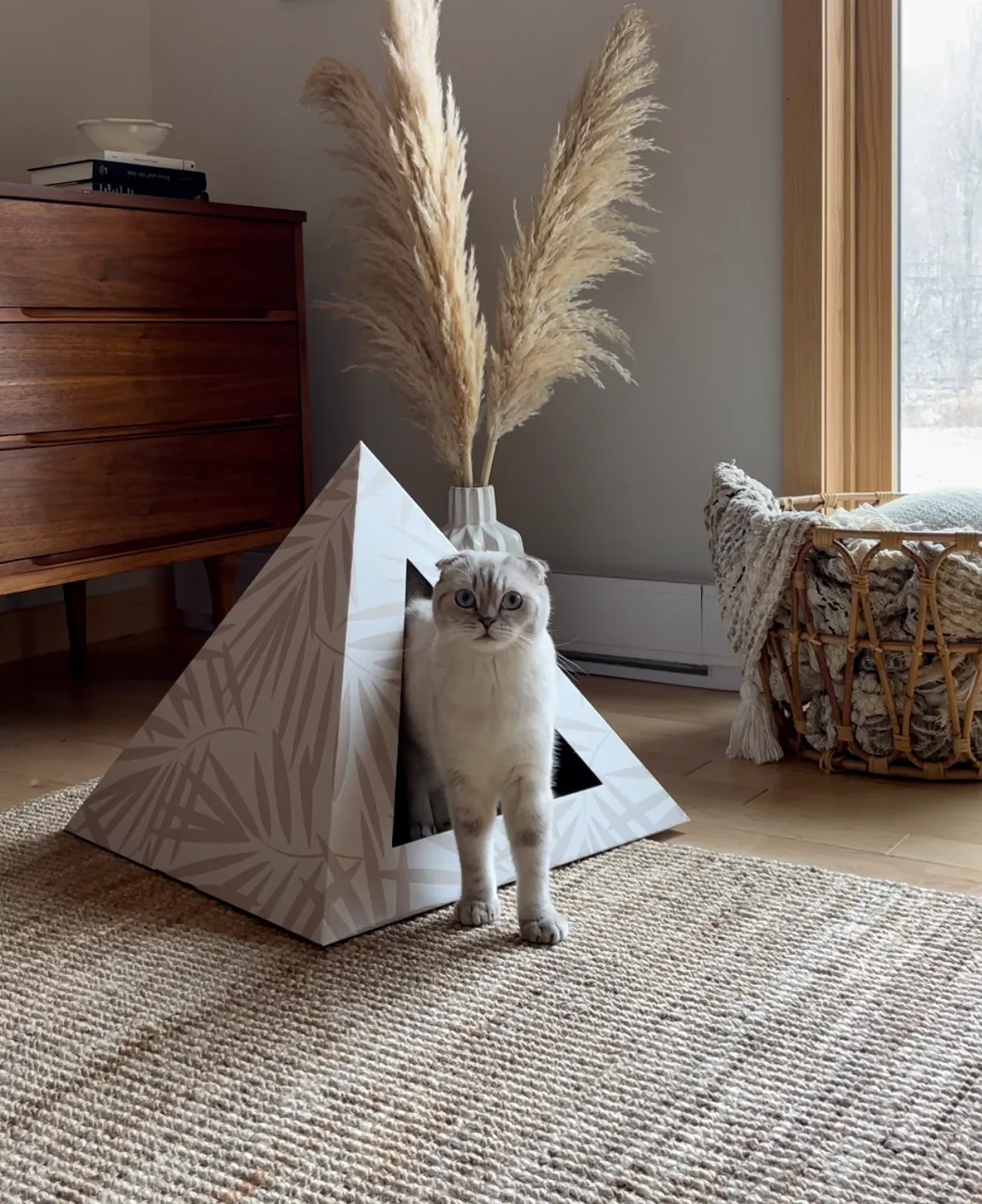'Neutral Palm' Cardboard Cat Pyramid