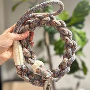 New: Handcrafted Rainbow Rover Dog Leash, Sustainable