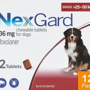 Nexgard for Dogs 60