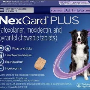Nexgard Plus Large 33