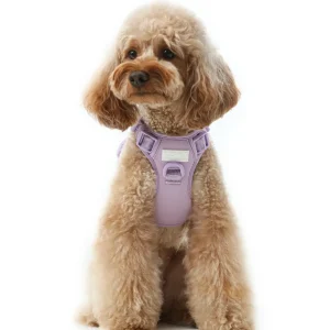 NO PULL ACTIVE PET HARNESS