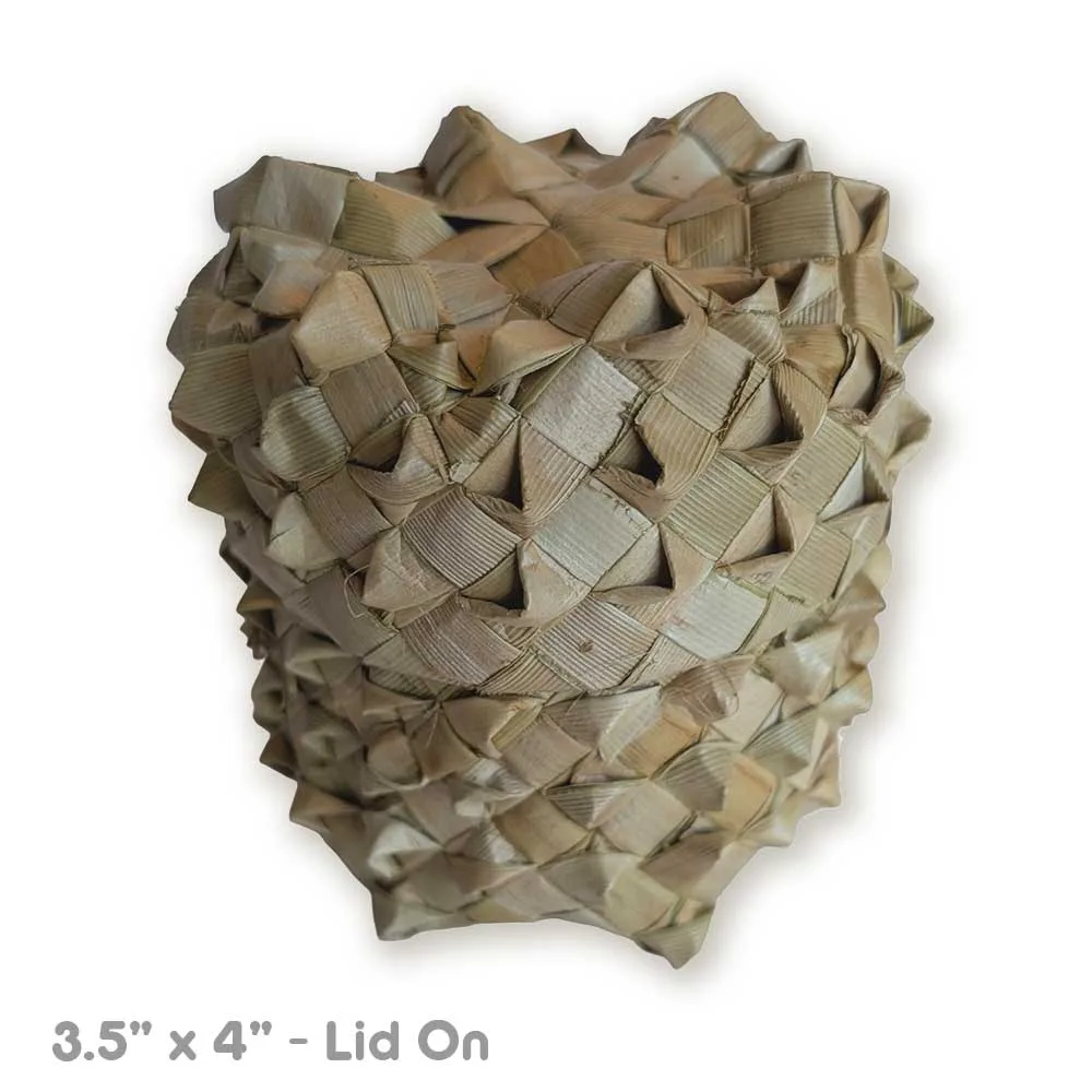 Nubby Palm Box | NEW - Image 2