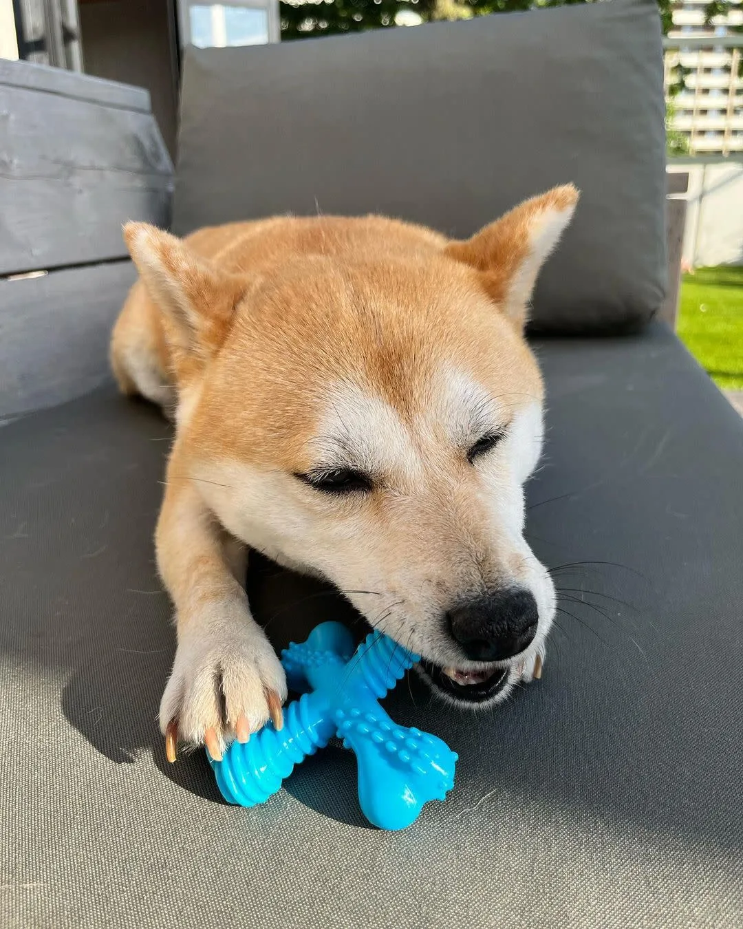 Nylabone Power Chew Comfort Hold x Bone Dog Toy Beef, Small/Regular up to 25 lb. 1 ct - Image 2