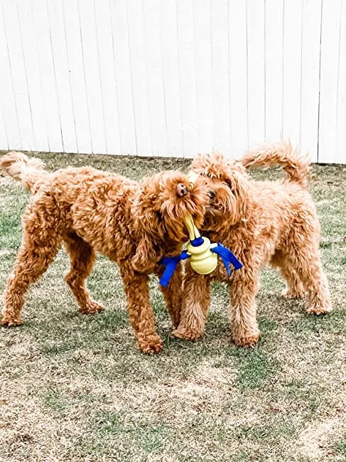 Nylabone Power Play Fling-a-Bounce Interactive Dog Toy Medium/Wolf, up to 35 lb - Image 2