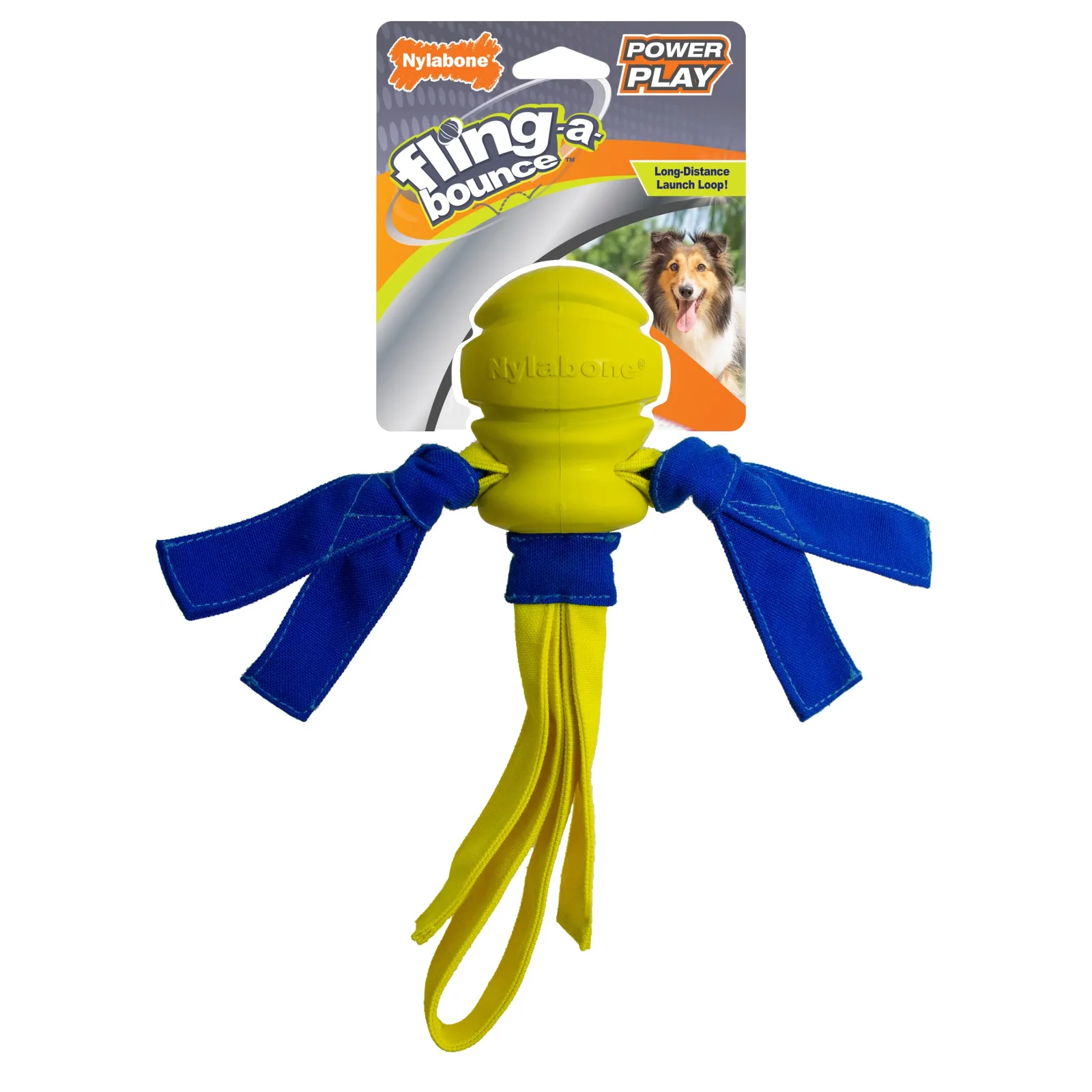 Nylabone Power Play Fling-a-Bounce Interactive Dog Toy Medium/Wolf, up to 35 lb