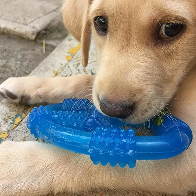 Nylabone Puppy Chew Spin Tug Play Dog Toy Peanut Butter, Blue, Medium/Wolf up to 35 lb. 1 ct - Image 2