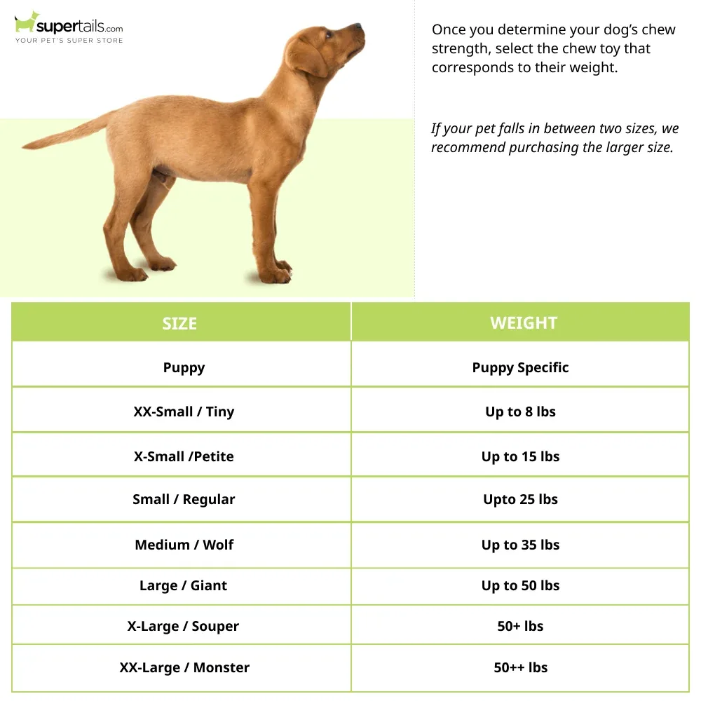 Nylabone Puppy Teething Chicken,Maple Bacon and Beef Jerky Flavoured Chew Stage Toy for Dogs (Brown/Red) - Image 2